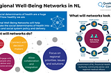 Infographic titled Regional Well-Being Networks in NL