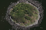 Flamingos surrounding a small island at Lake Bogoria, Kenya