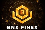 About BNX Finex
