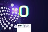 Memahami Evolusi Terbaru IOTA 2.0