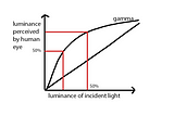 What RAW Photographers Need to Understand About ‘Gamma’