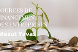 Mesut Yavas | Sources de financement des entreprises