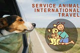 How to Qualify Your Service Animal for International Travel?