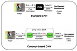 Now You See Me (CME): Concept-based Model Extraction