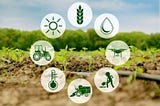 Crop Protection Market Overview, Industry Top Manufactures, Size, Growth rate By 2030