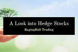 A Look into Hedge Stocks