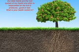 A tree planted in healthy soil yields healthy growth and good fruit.