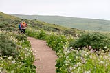 Ready, Set, Bloom — 5 Flower-Filled Hikes in the North Bay