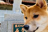 A Statue Fit for a Shiba King