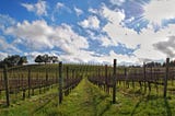 Daytripping through the wineries of the southern Santa Cruz Mountains