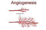 Insights on Angiogenesis: The First Defense System