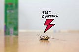 Bakersfield Pest Control Companies, Pest Control Bakersfield