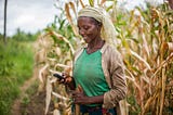 image of a rural African woman in a farm holding a cellphone and smiling. source; Mastercard