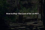 How to Play The Last of Us on PC?