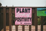 How Reading Positive Philosophy Can Make You Happier