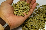 Someone holding a handful of green coffee beans