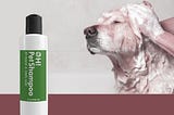 6 REASONS WHY ORGANIC DOG SHAMPOO IS BETTER