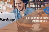 5 Stupendous Birdeye Alternatives For Review Management In 2024