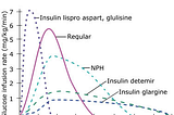 A Beginner’s Guide to Insulin