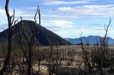 Mount Papandayan (The Death Forest, Edelweiss Flower Field, and The Crater)