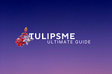 Ultimate guide: what possibilities are available in Tulipsme?