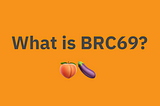 New Ordinals BRC69 🍑🍆 Standard Is Removing Data Limits