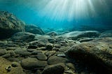 All Who Dive