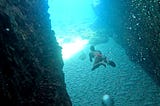 Immersion in the Adriatic and Aegean