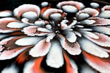 Black & White Flower Dip with a Striking Iridescent Accent! 🌸🖤✨