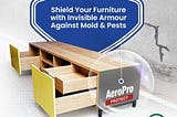 Shield Your Furniture with Invisible Armour against Mold and Pests