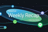 ✍️MetaChat Weekly Recap-03/24/2023