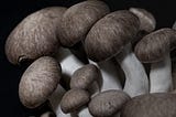 a picture of edible mushrooms on a black background