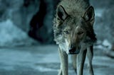 ALPHA (2018): 7 Critical Questions [movie review]