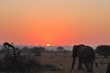 Three Notes from Africa