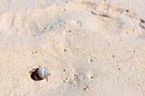 Build a Custom CLI with Bash