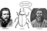 What Jesus Has In Common with the Dung Beetle: Things You Learn from Dreaming in New Orleans