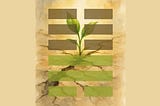 On The Origins of The Yijing (I-Ching)