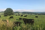 Exciting Students About Rural America