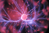The Science of Sleep: Why Getting Enough Sleep is Important for Brain Health