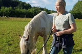 GekkoVet: Empowering Vets, One Digital Tool at a Time!