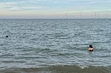 A woman wearing a hat, swimming with a grey seal in the North Sea.