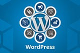How to Prepare a Portfolio Site with WordPress: A Detailed Guide 2024