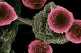 How surviving narcissism is like surviving cancer