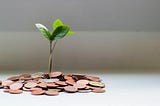 Coins on table with small tree growing from them.