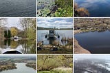 Nine delistings tied to conservation work backed by Clean Water Funds