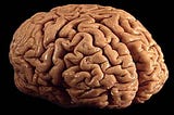 How to think critically about Elon Musk’s NeuraLink