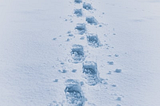 A footprint I left 
Have you ever experienced the pleasure of walking in the snow?