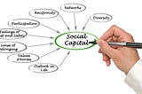 Social Capital, Service, and Organization: A Conceptual Framework for the MTA