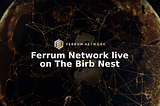 Ferrum Network live on The Birb Nest — Latest Initiatives & Powering cross-chain crypto projects