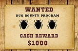 One IP led to 4 bugs made the company delete the domain
